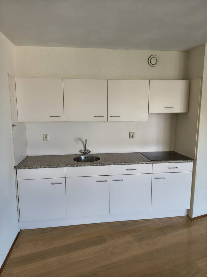 Foto 4 van Prins Hendrikstraat 102-B
