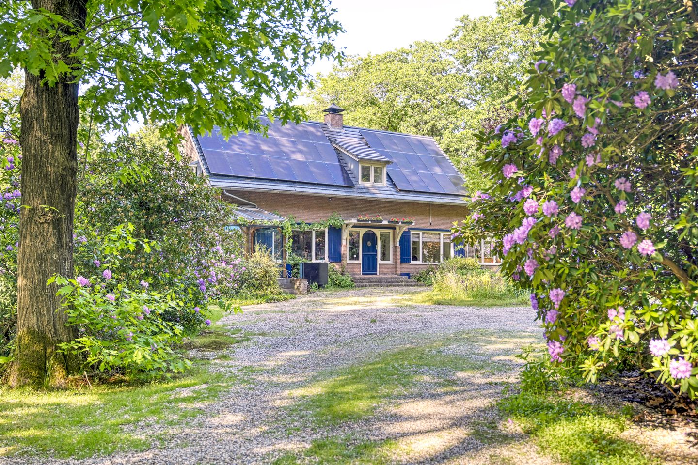 Photo 5 of Koningsweg 23