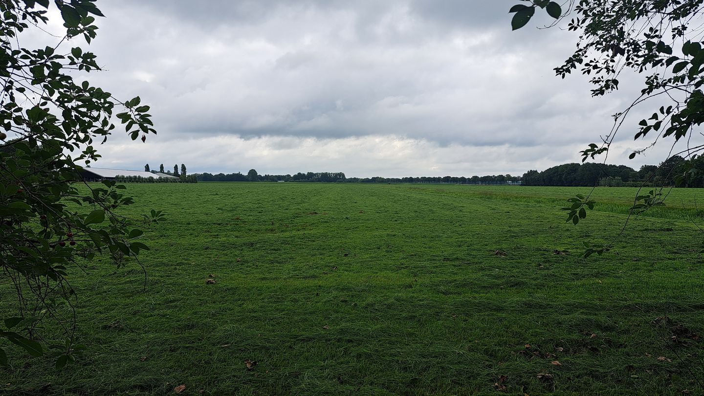 Foto 5 van Turfweg 10