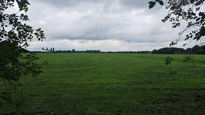 Foto 5 van Turfweg 10
