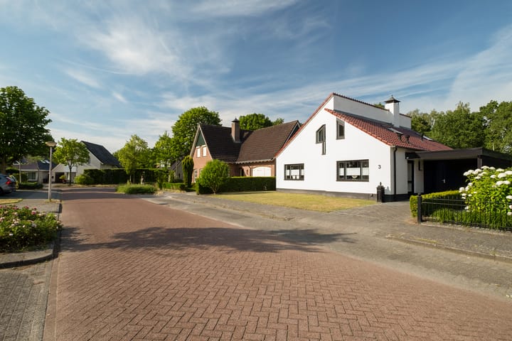 Foto 4 van het Swennink 3