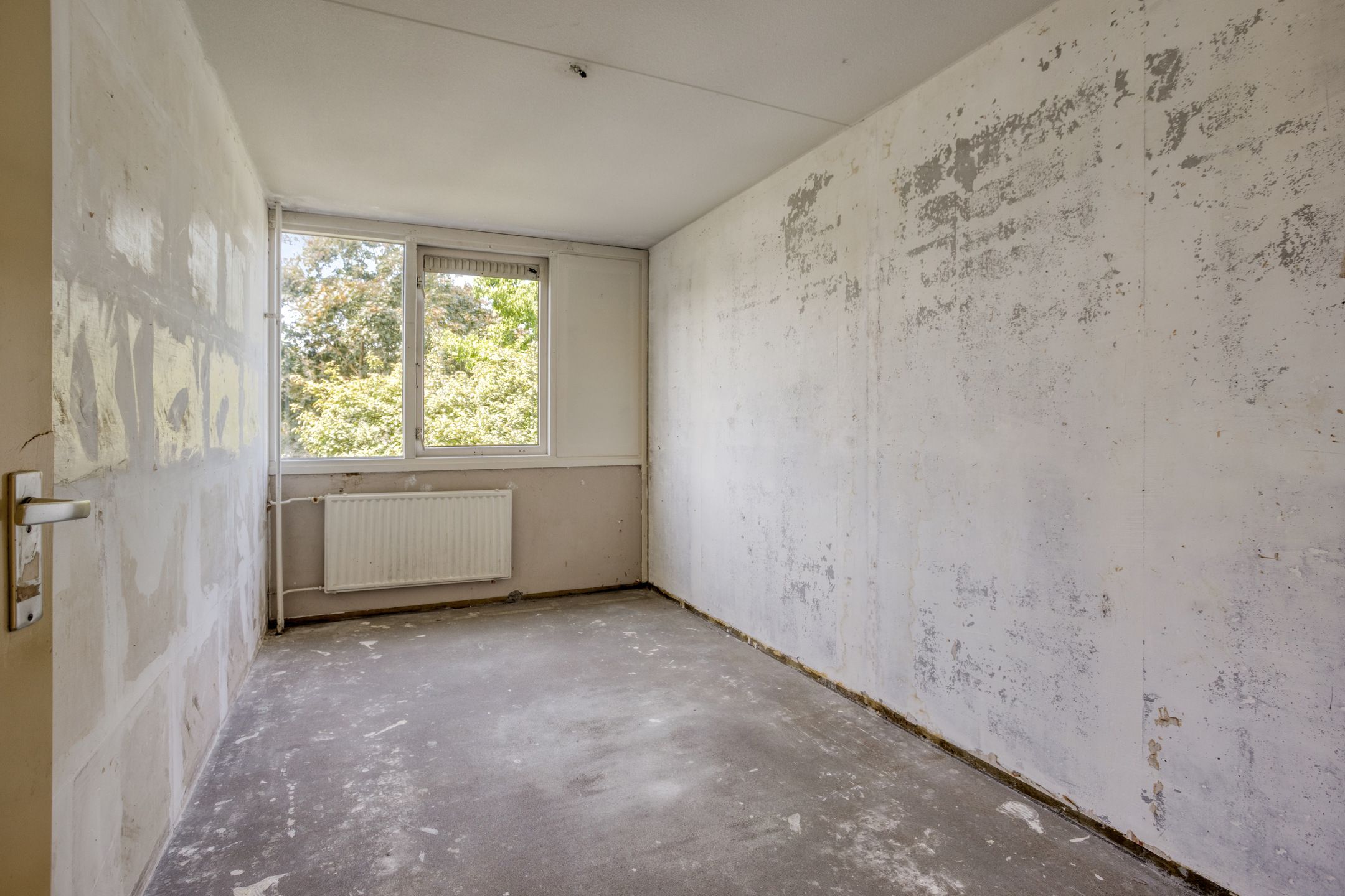 Photo 12 of Heilige Stoel 4841