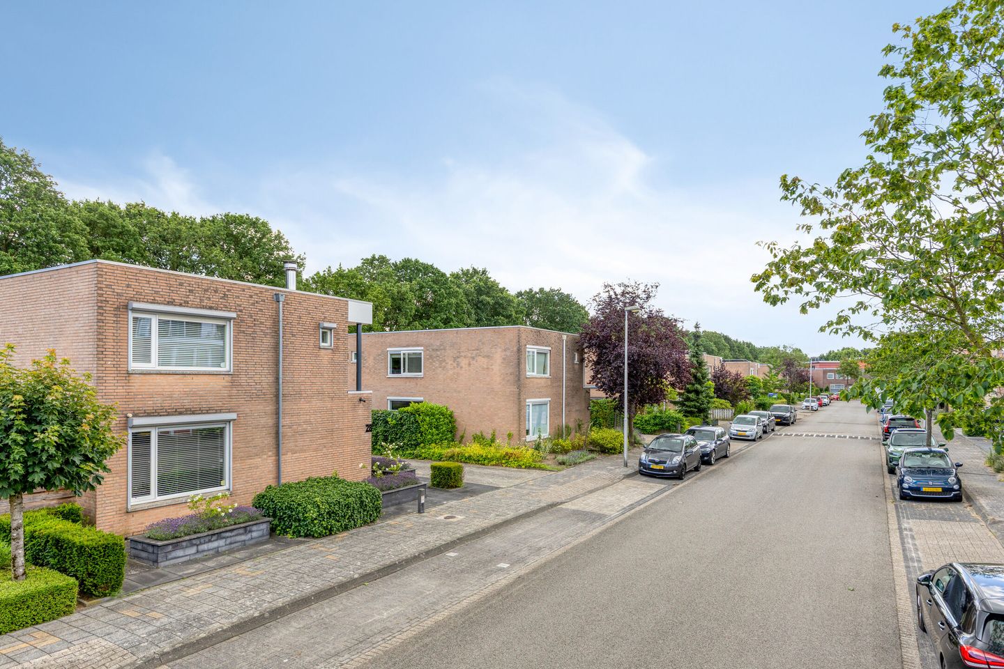 Photo 10 of Wildeman 28