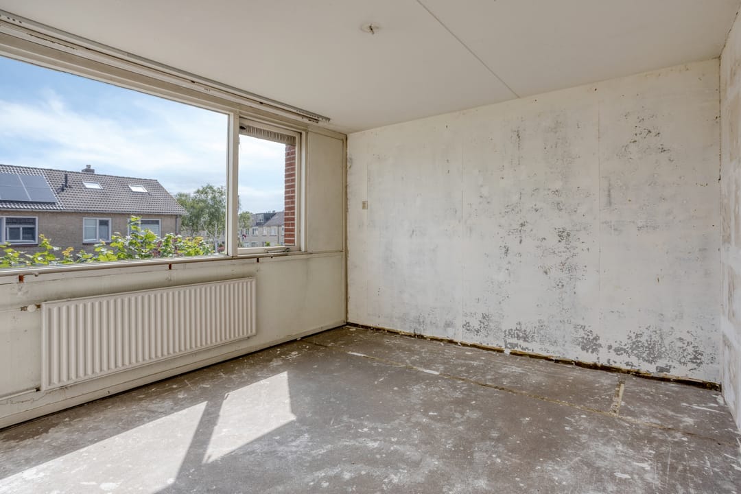 Photo 11 of Heilige Stoel 4841