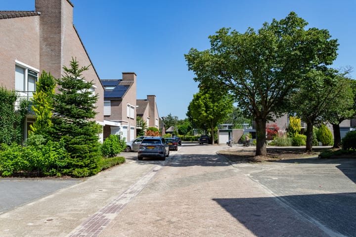 Foto 4 van Elbeplantsoen 9