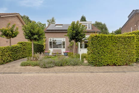 Prinses Irenestraat thumbnail