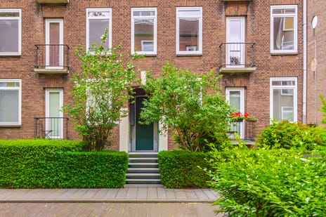 Johan de Meesterstraat thumbnail