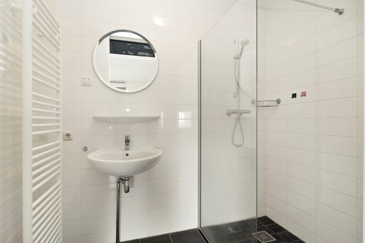 Foto 4 van Zilverstein 99