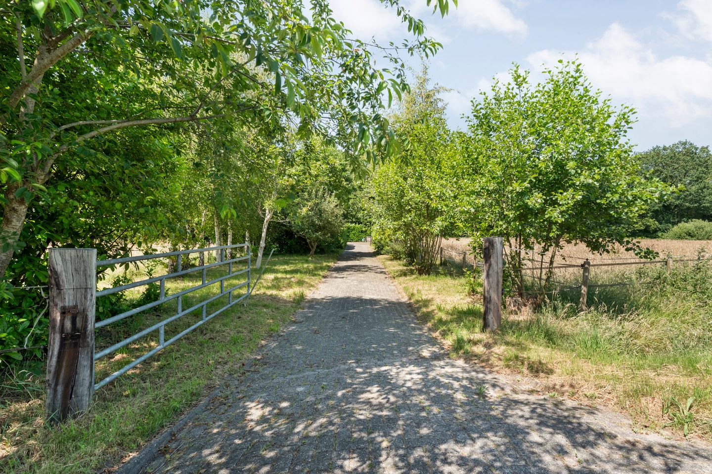 Bekijk foto 5 van Rheezerweg