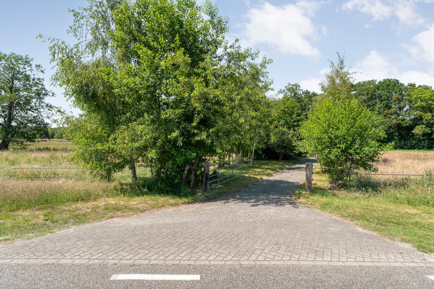 Bekijk foto 4 van Rheezerweg