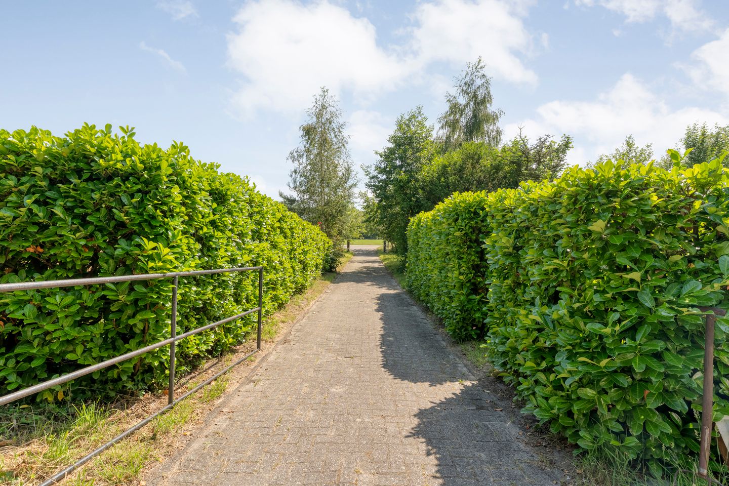 Rheezerweg - Hardenberg - Afbeelding 7