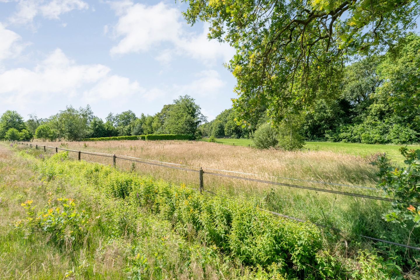 Bekijk foto 2 van Rheezerweg