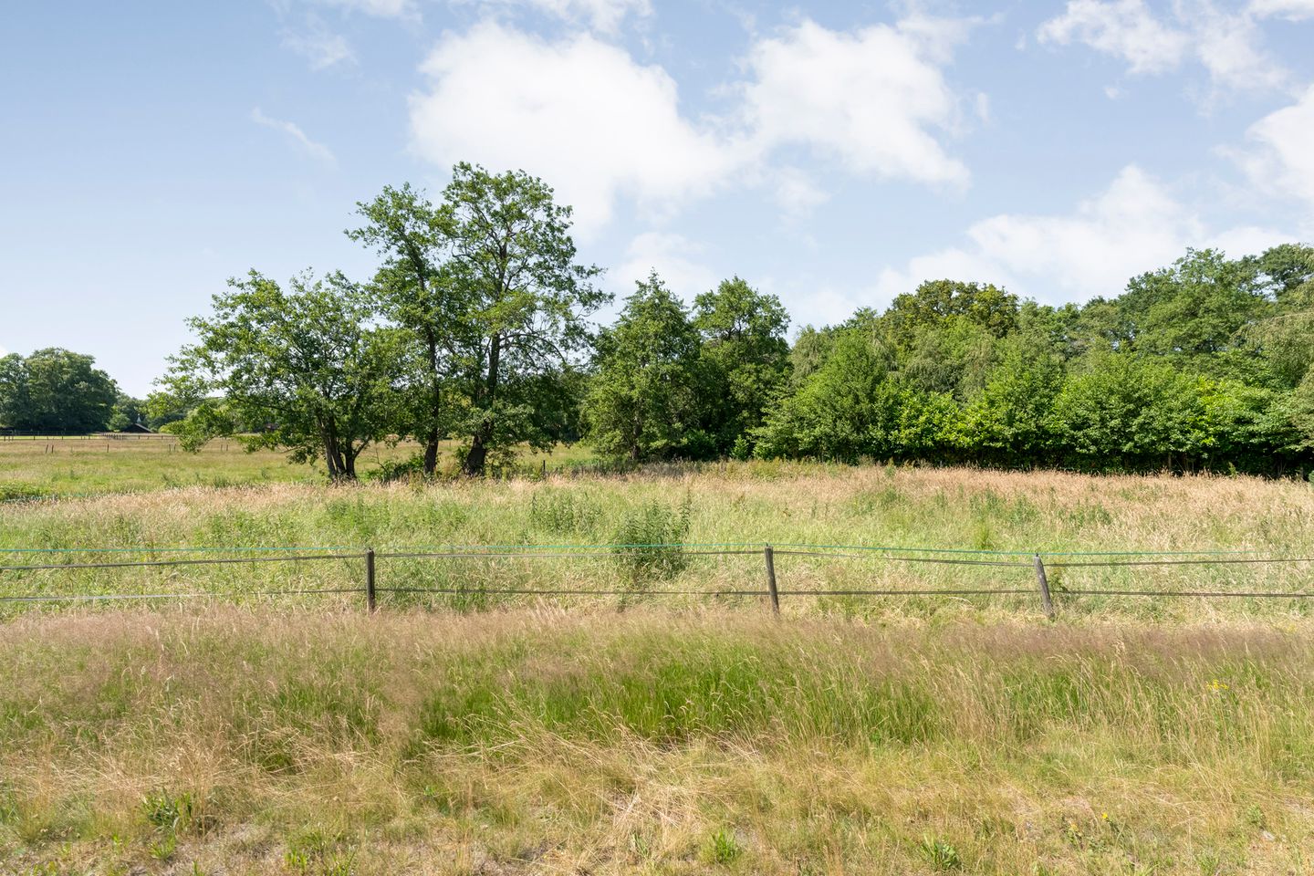 Bekijk foto 3 van Rheezerweg