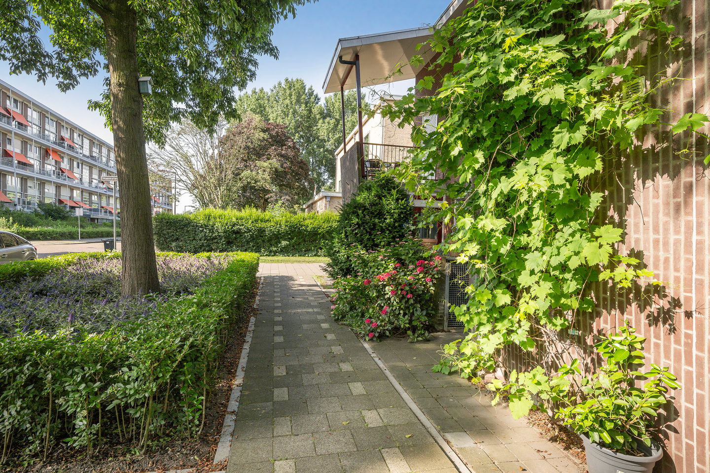 Foto 10 van Haemstedehof 24
