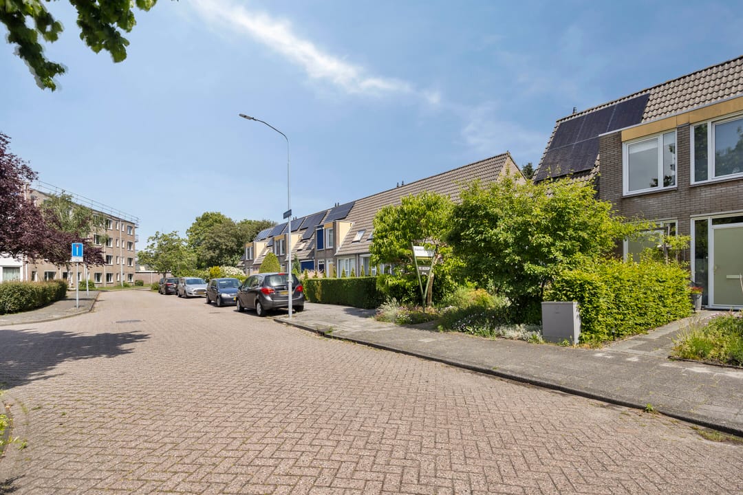 Foto 41 van Cartonbaan 17