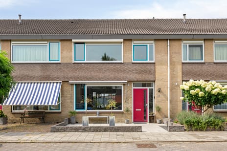 Dasstraat thumbnail