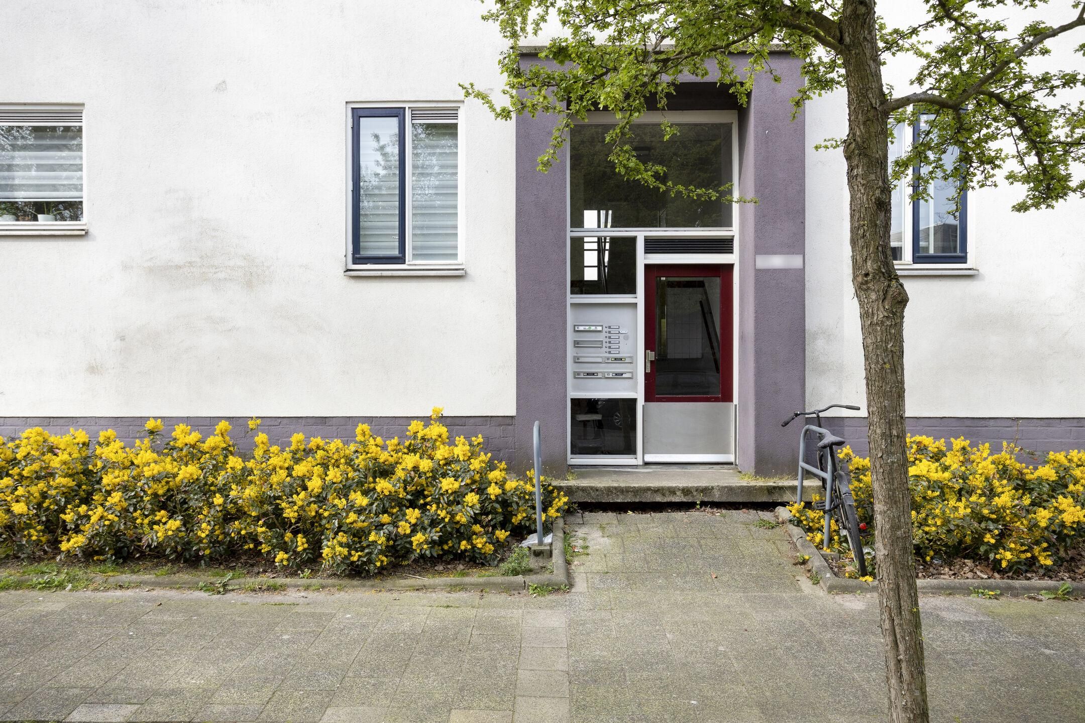 Photo 3 of Van Harmelenstraat 101