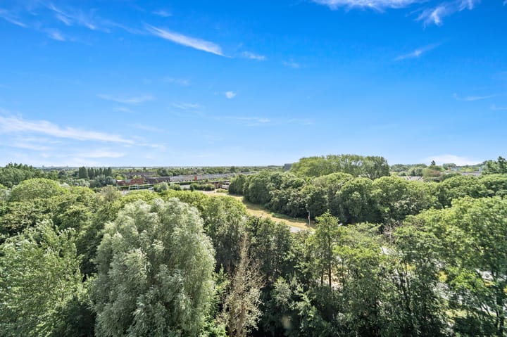 Appartement te koop: Aart van der Leeuwlaan 1090, Delft