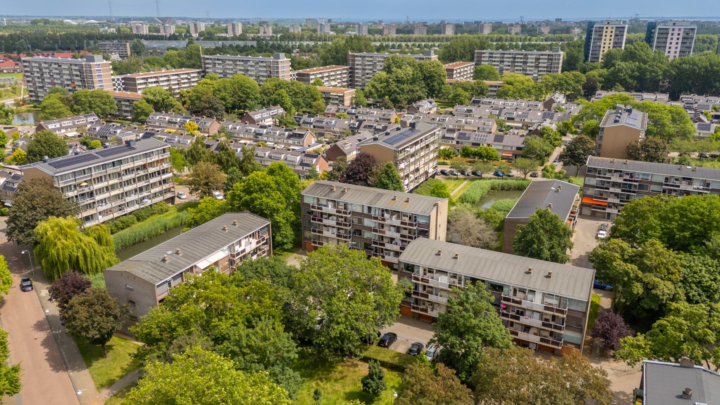 Foto 44 van Julianaplantsoen 41