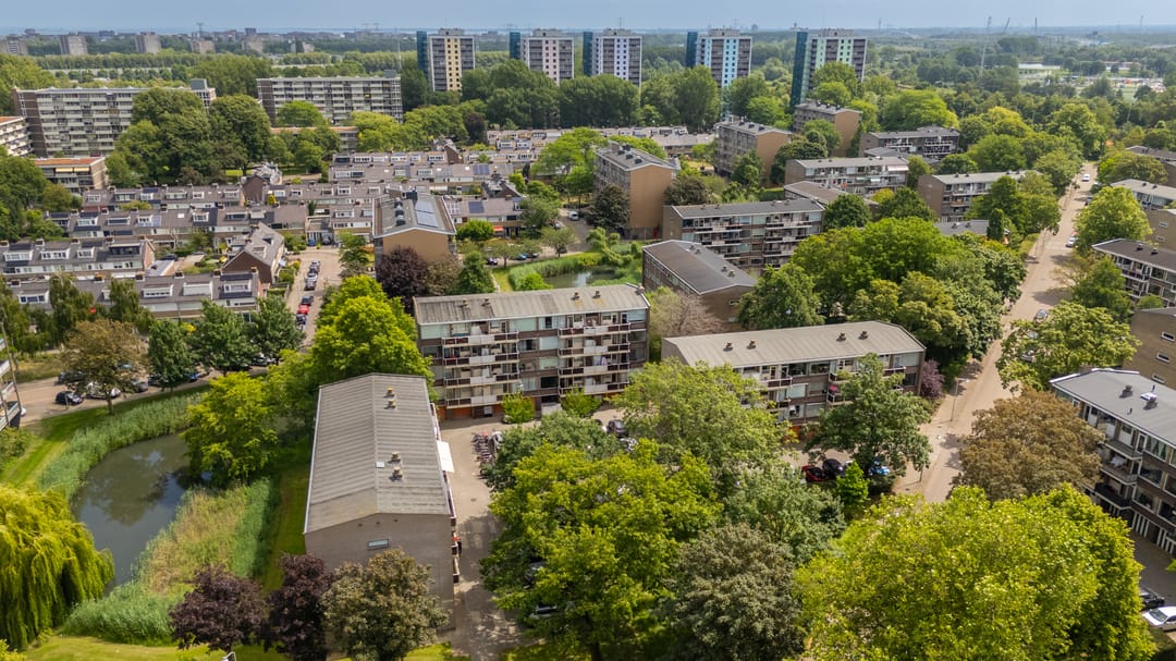 Foto 43 van Julianaplantsoen 41