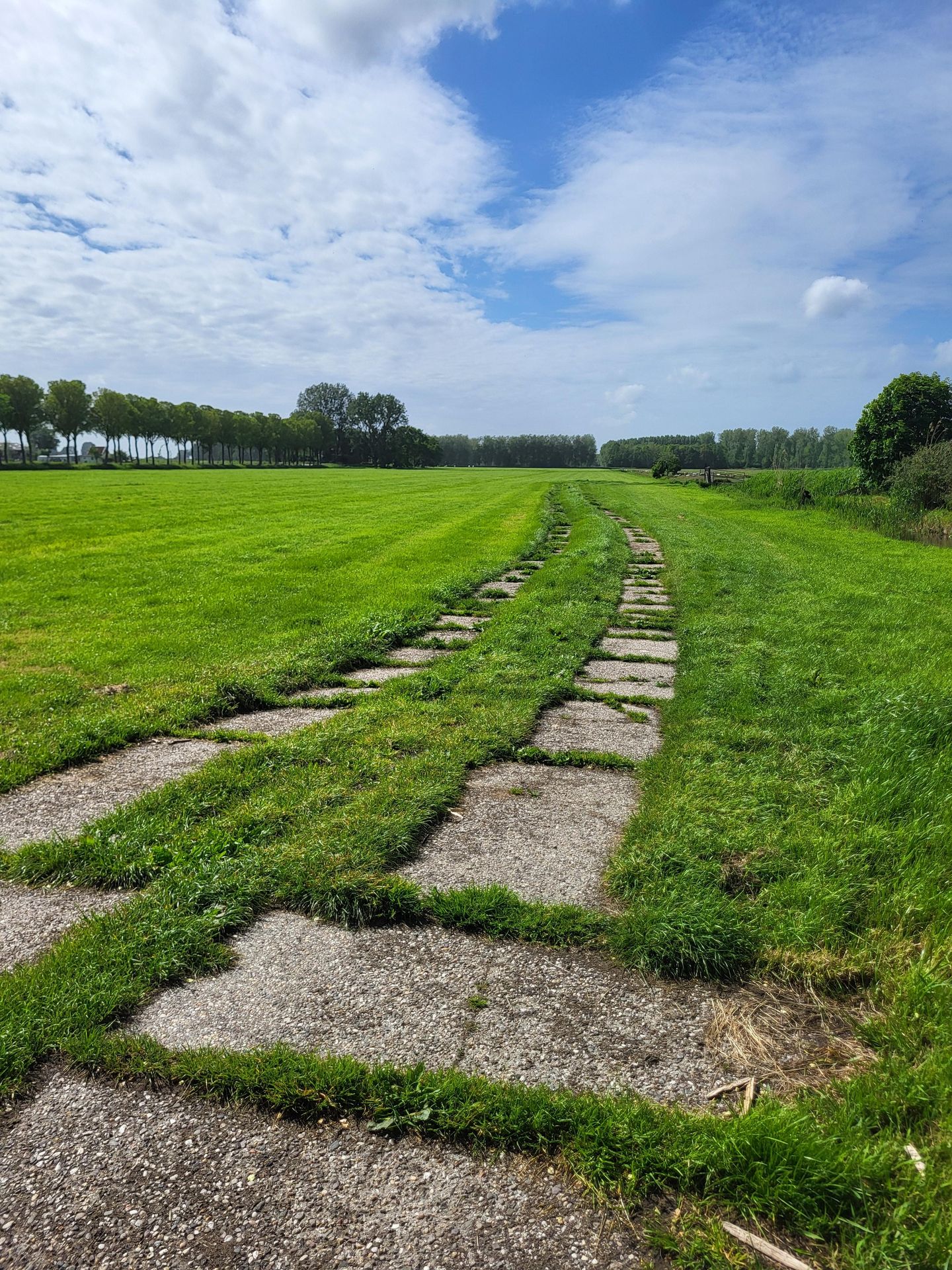 Oosterweg M - Purmer (Gem. Waterland) - Afbeelding 7