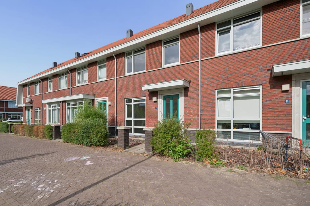 Photo 1 of Leeuw 7