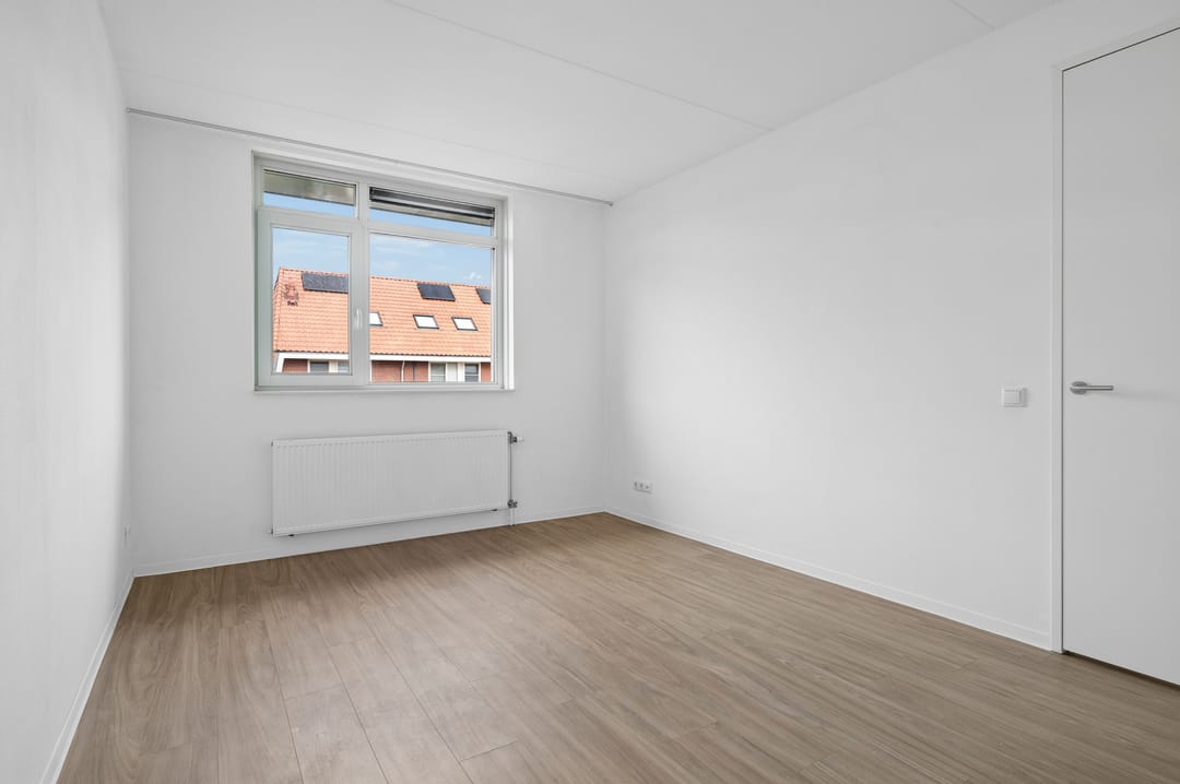 Photo 13 of Leeuw 7