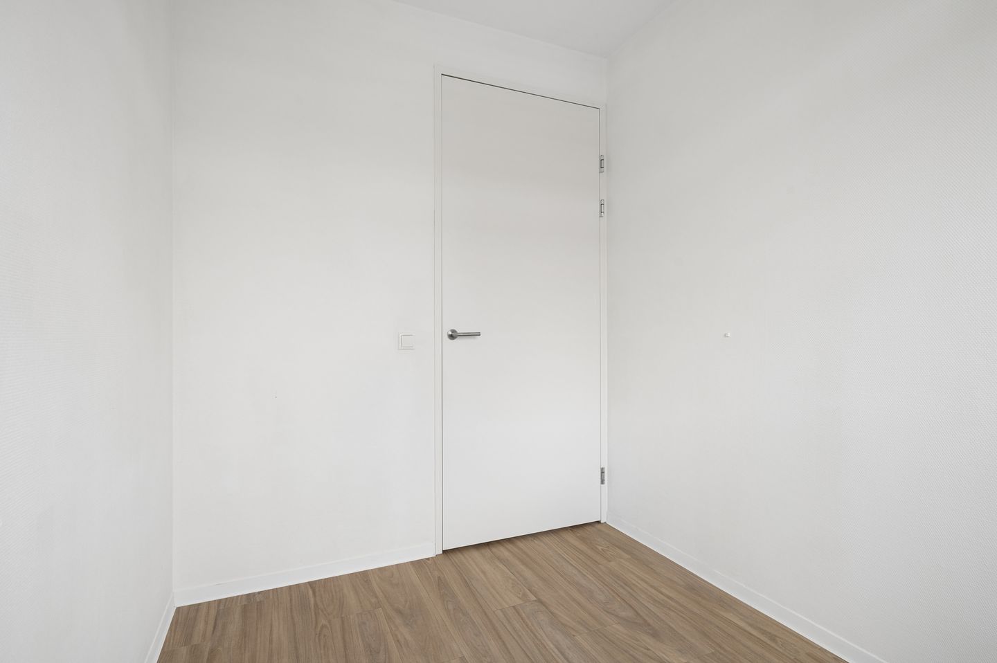 Photo 20 of Leeuw 7