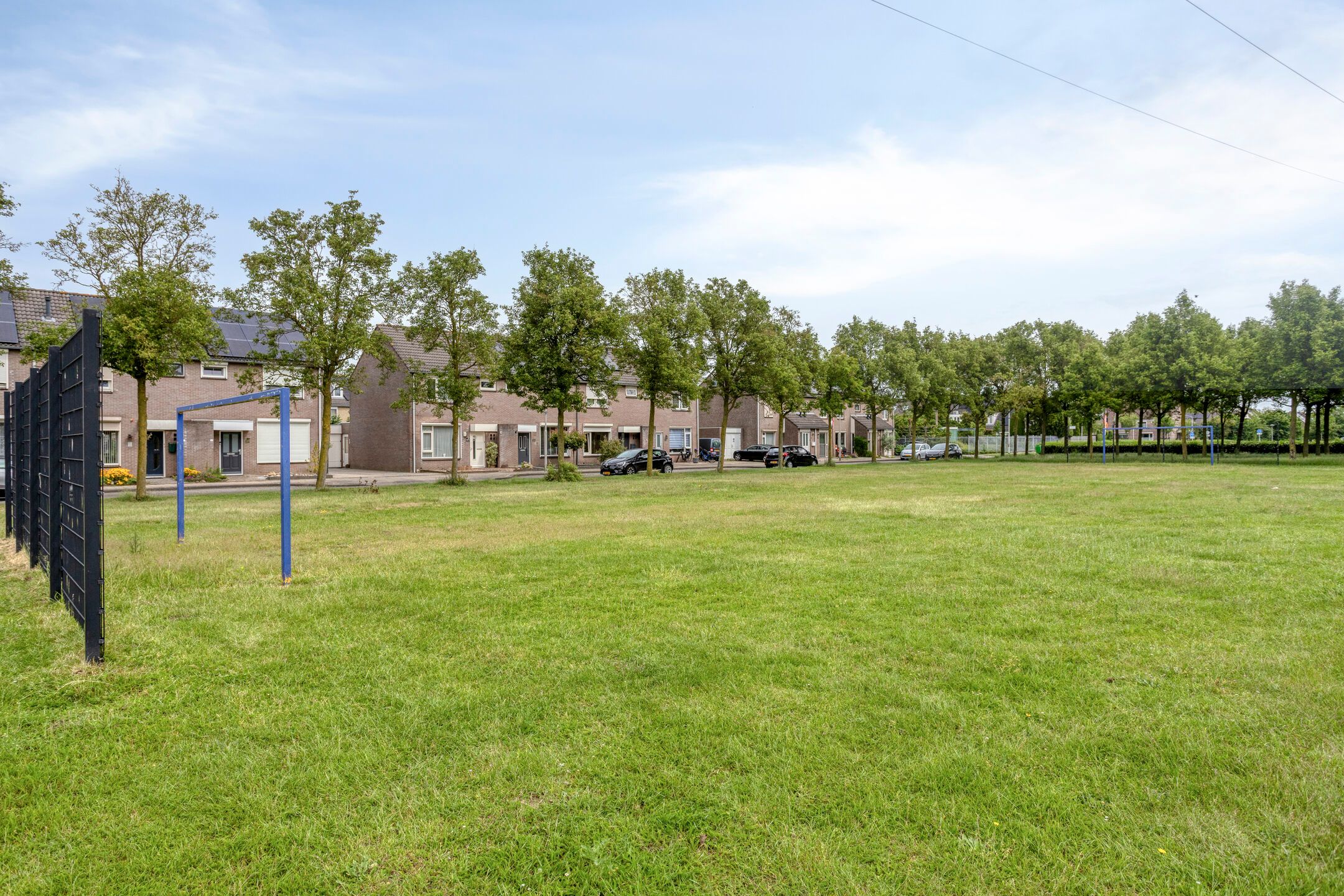 Photo 30 of Meerval 17