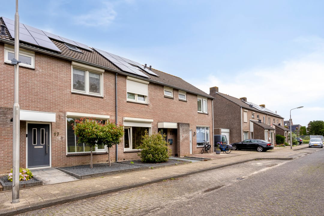 Photo 28 of Meerval 17