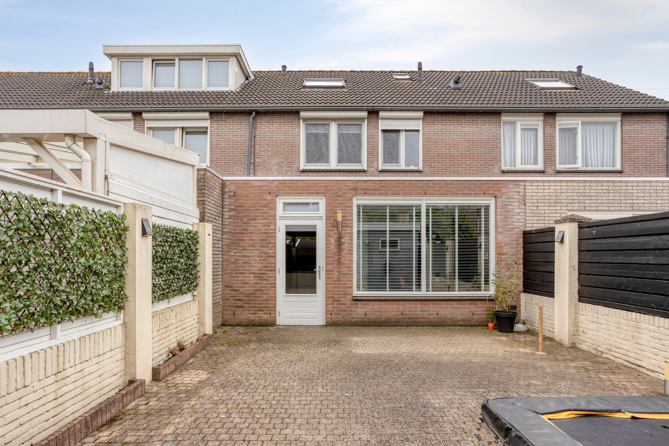 Photo 24 of Meerval 17