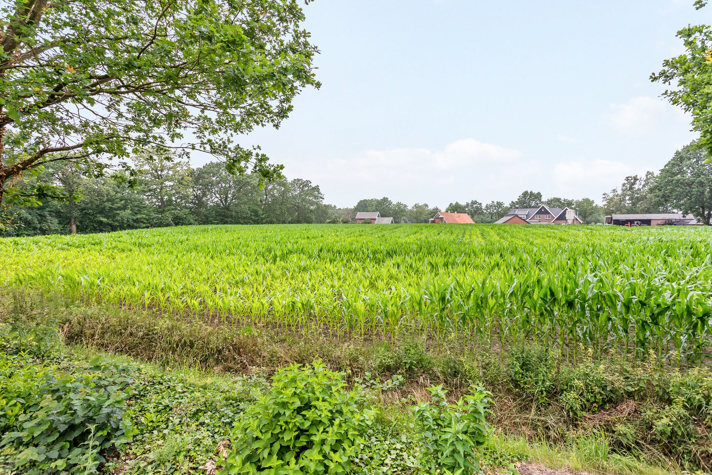 Foto 14 van Reutummerweg 65-ZH04