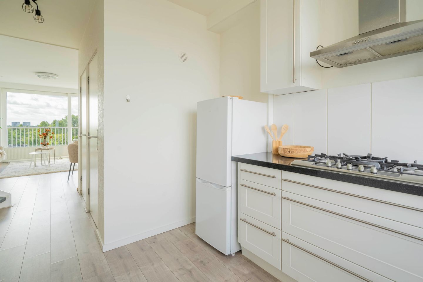 Photo 14 of Pieter Calandlaan 311