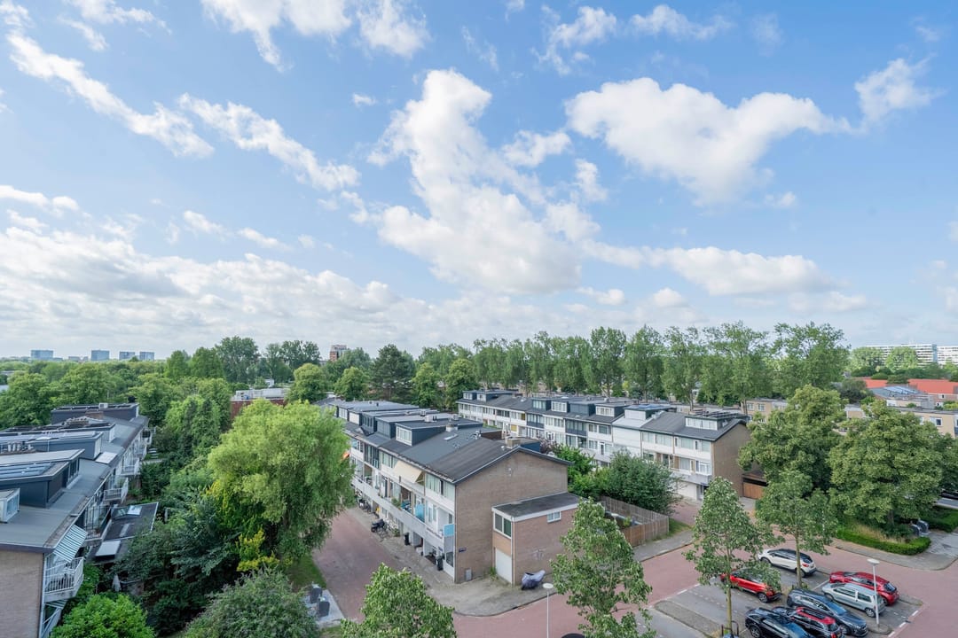 Photo 11 of Pieter Calandlaan 311