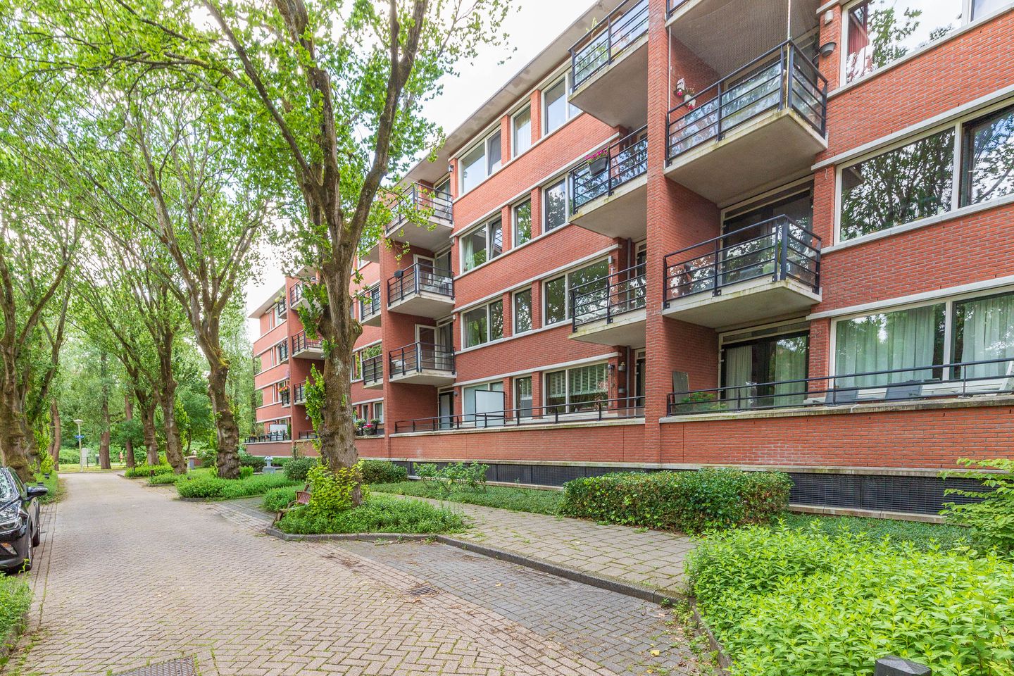 Foto 50 van Iepenlaan 64