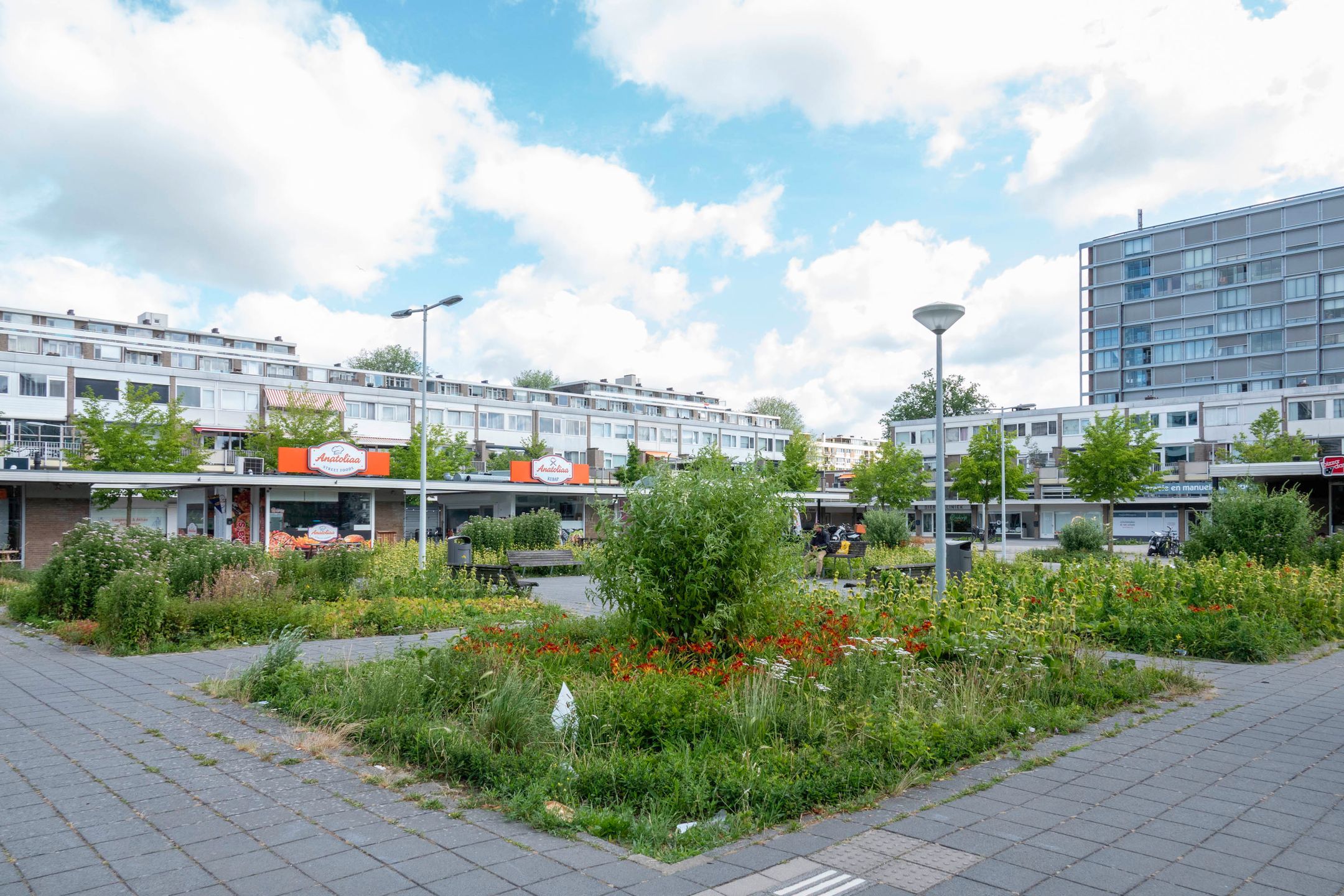 Photo 33 of Pieter Calandlaan 311
