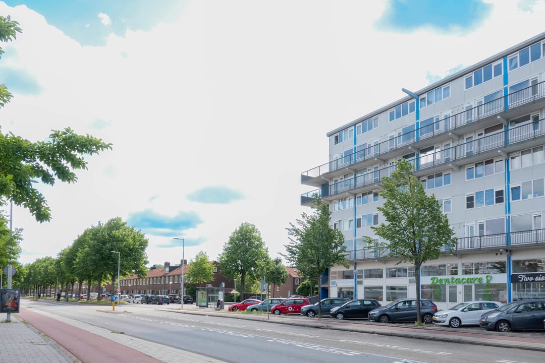 Photo 32 of Pieter Calandlaan 311