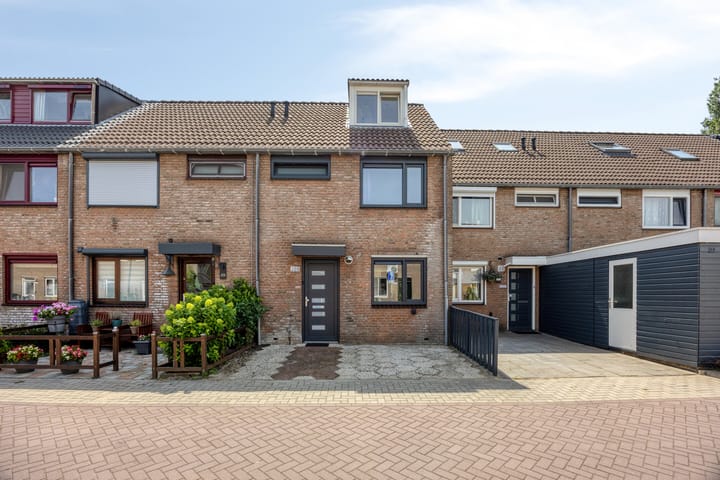 Foto 4 van Ringspoor 205