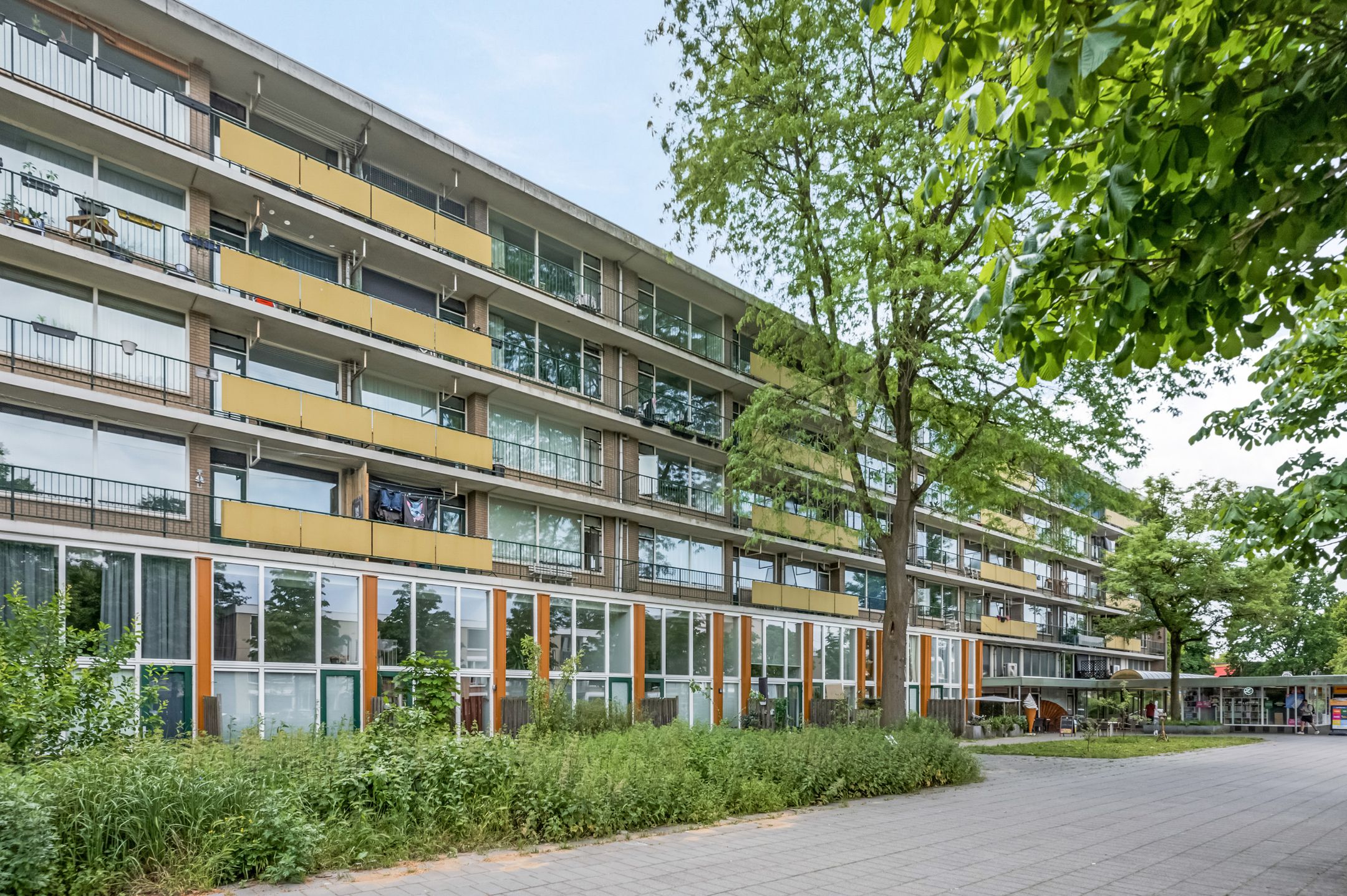 Schaepmanstraat 149 