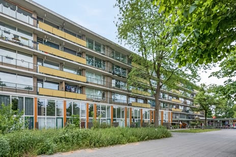 Schaepmanstraat thumbnail