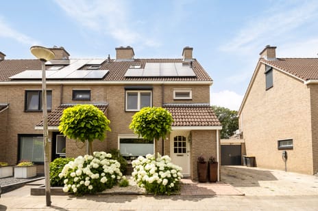 Haydnstraat thumbnail