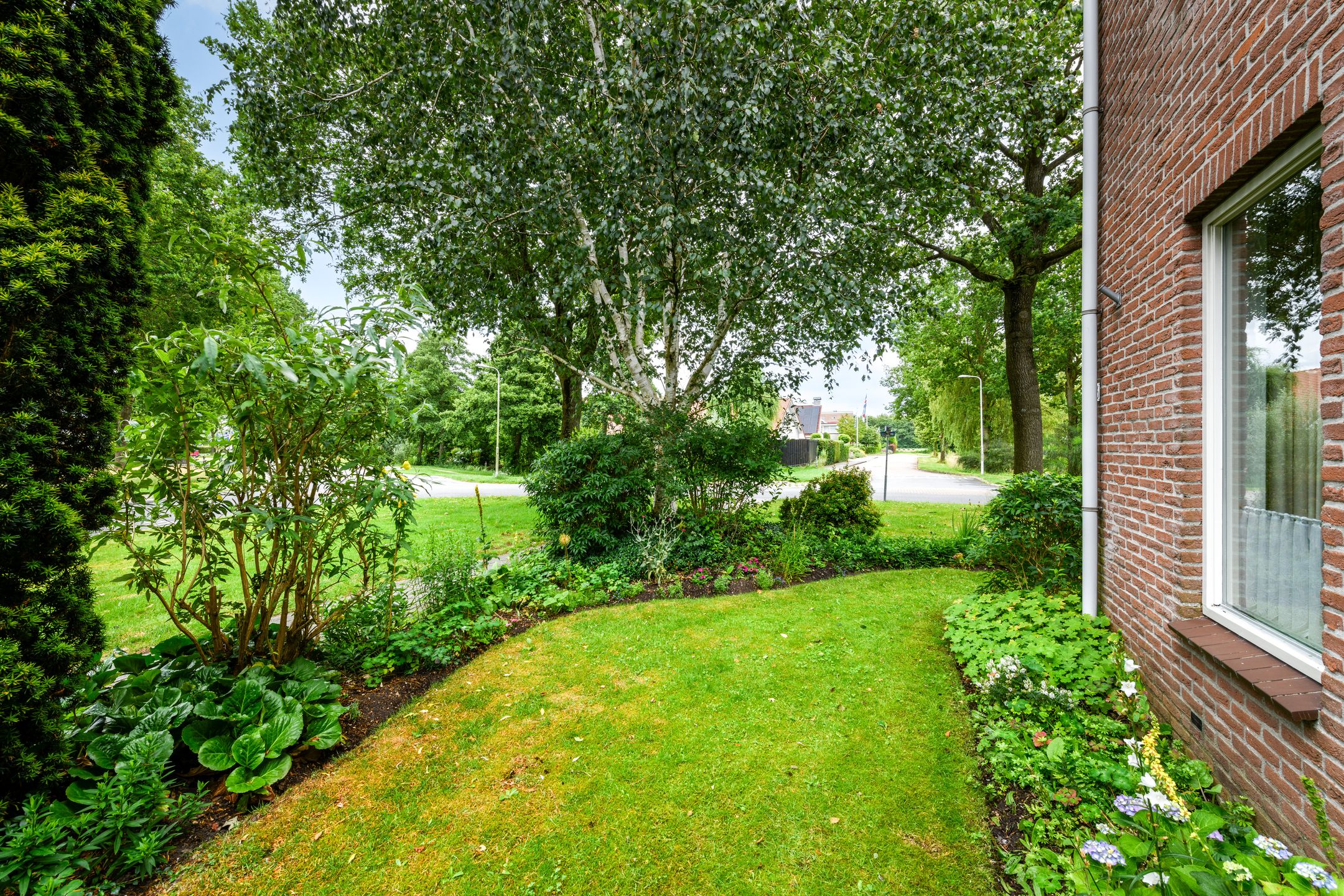 Photo 39 of Burgemeester Selhorststraat 66