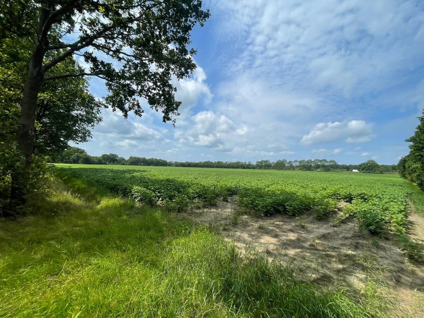 Hennehorstweg - Uffelte - Afbeelding 1