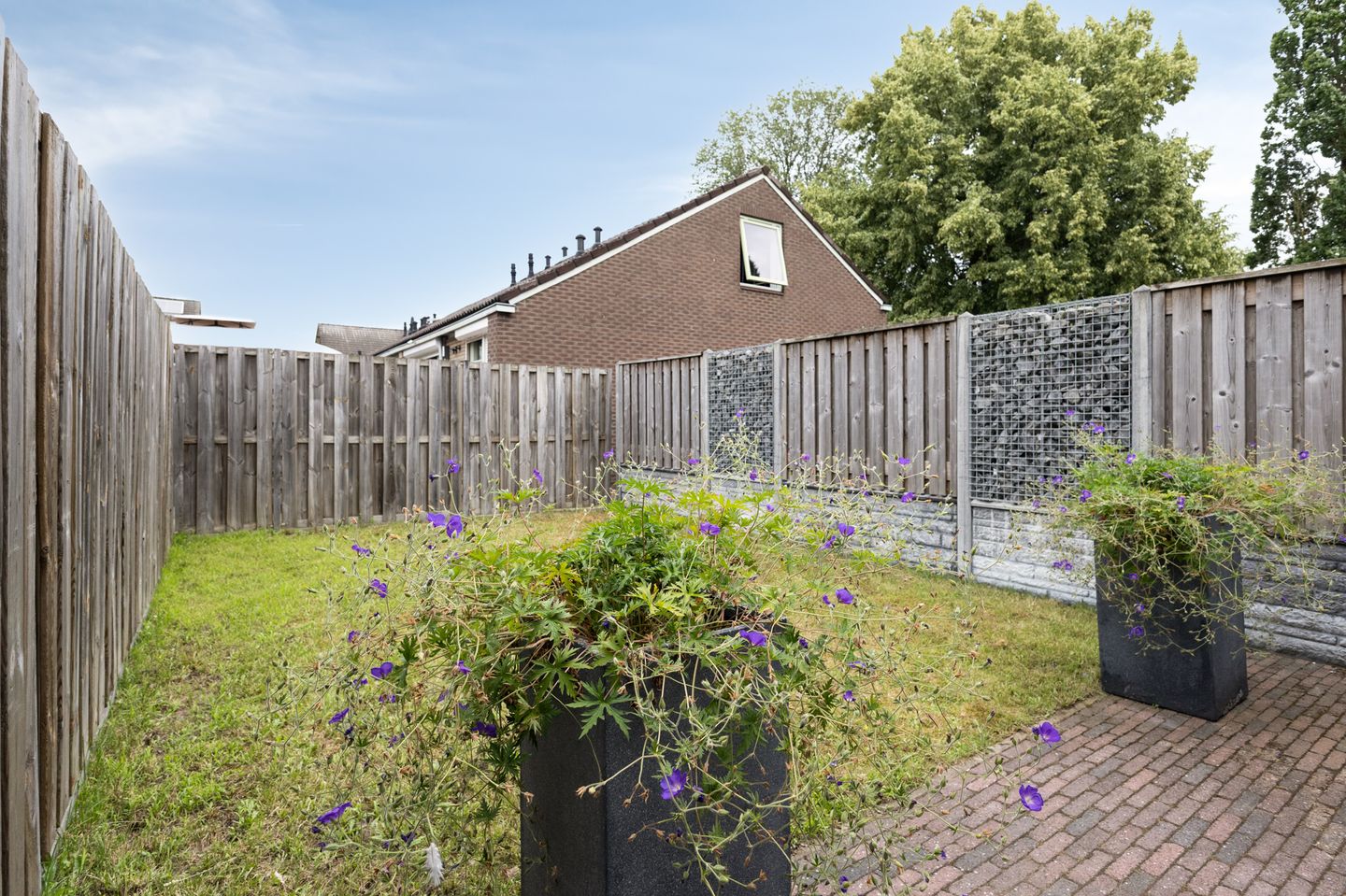 Foto 19 van Trashorst 73