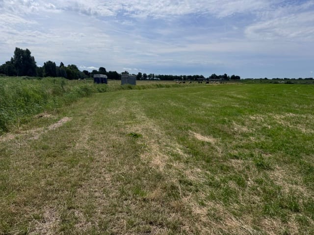 Bekijk foto 3 van Waalseweg