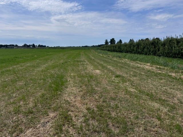 Bekijk foto 4 van Waalseweg