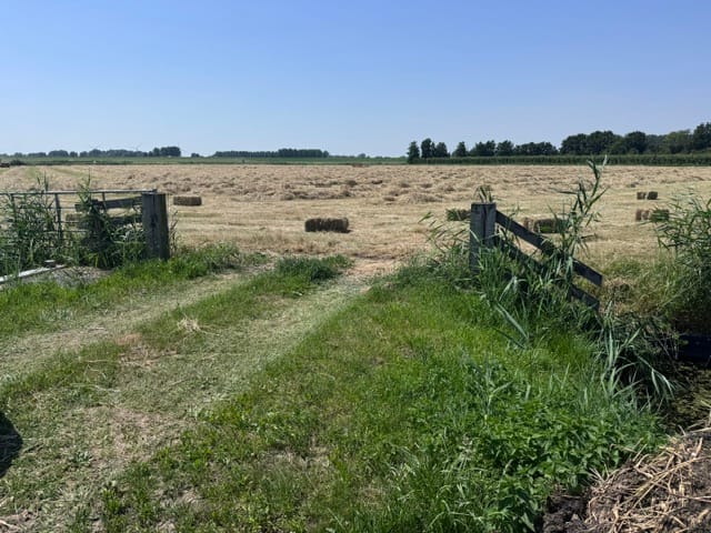 Bekijk foto 5 van Waalseweg