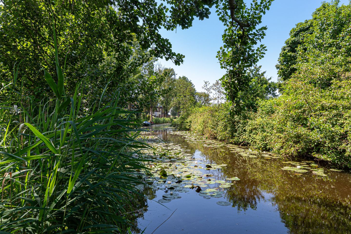 Foto 4 van Veeringzoom 24