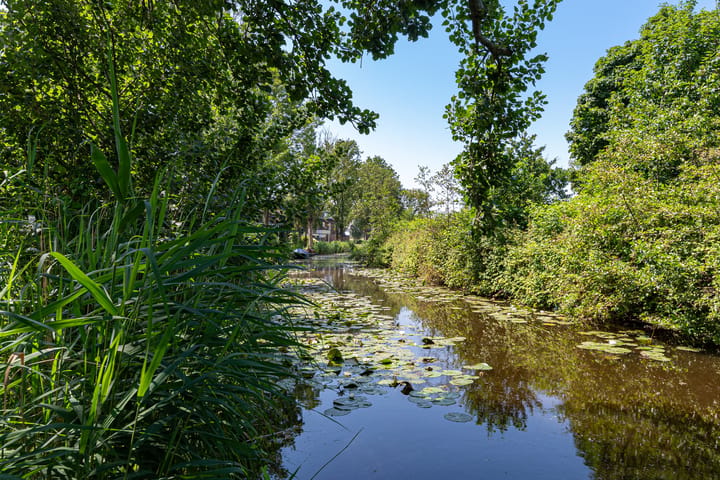 Foto 4 van Veeringzoom 24