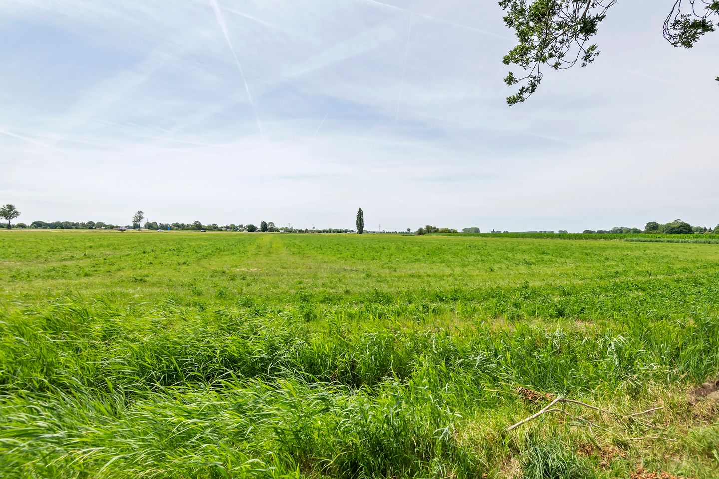 Foto 35 van Hoogeinde 50